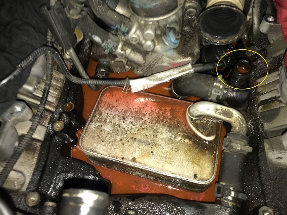 Появилась течь масла в двигателе — в чем причина и как отремонтировать