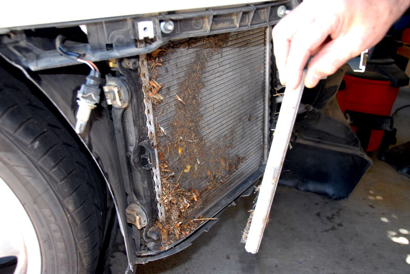 Как почистить радиатор автомобиля снаружи не снимая: средства для чистки, инструкция, советы, видео
