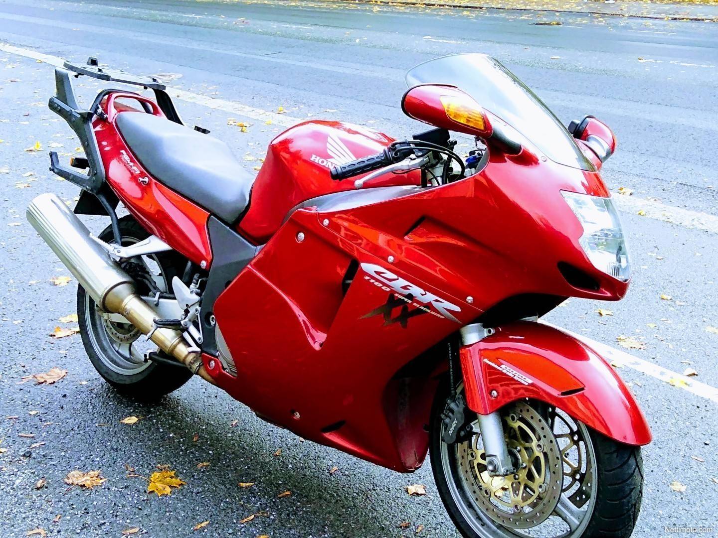 Дрозд хонда: обзор мотоцикла сбр 1100 хх, характеристики