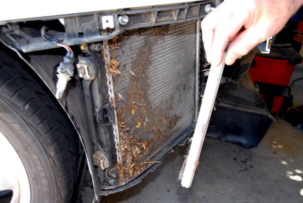 Как промыть и очистить радиатор автомобиля. чистка радиатора автомобиля своими руками