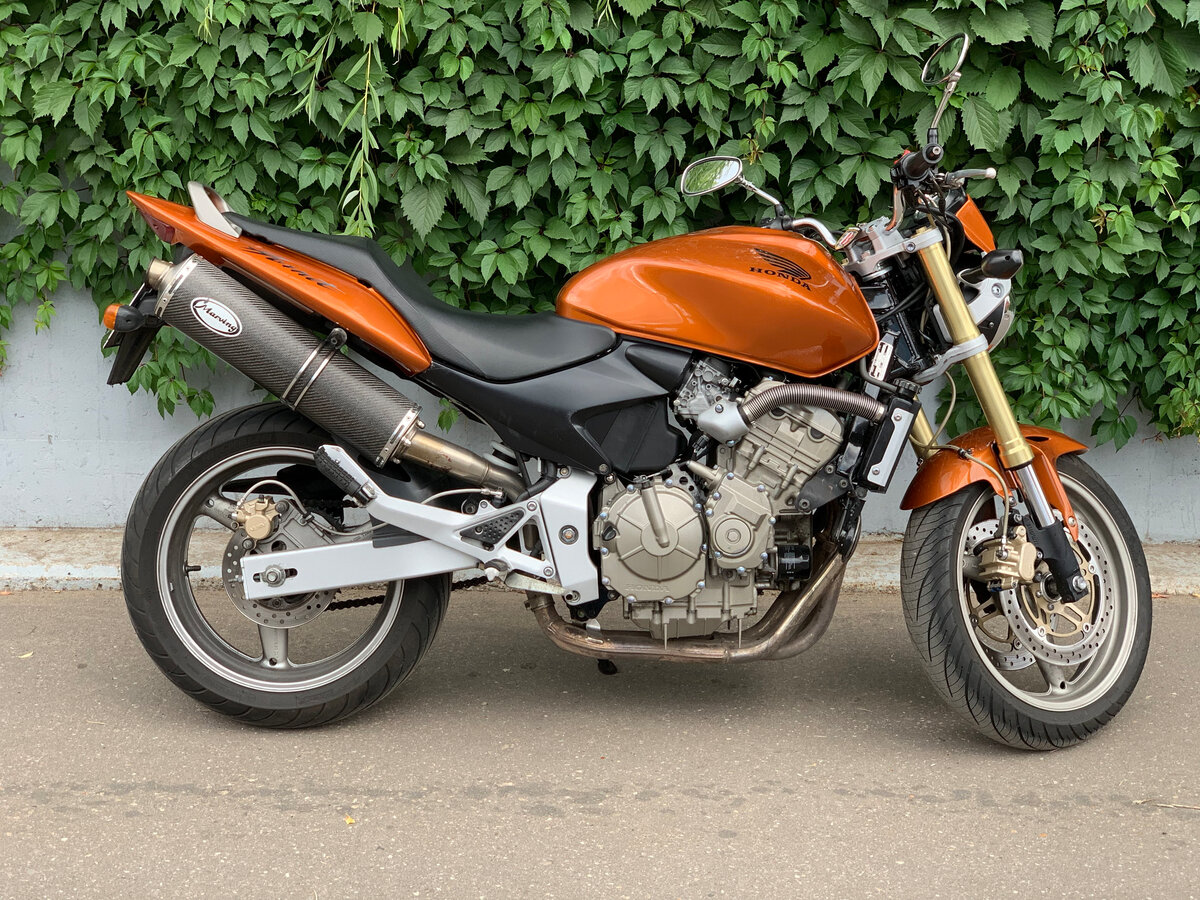 Honda cb600f hornet (2005): мотоцикл-епоха - мой мотоцикл