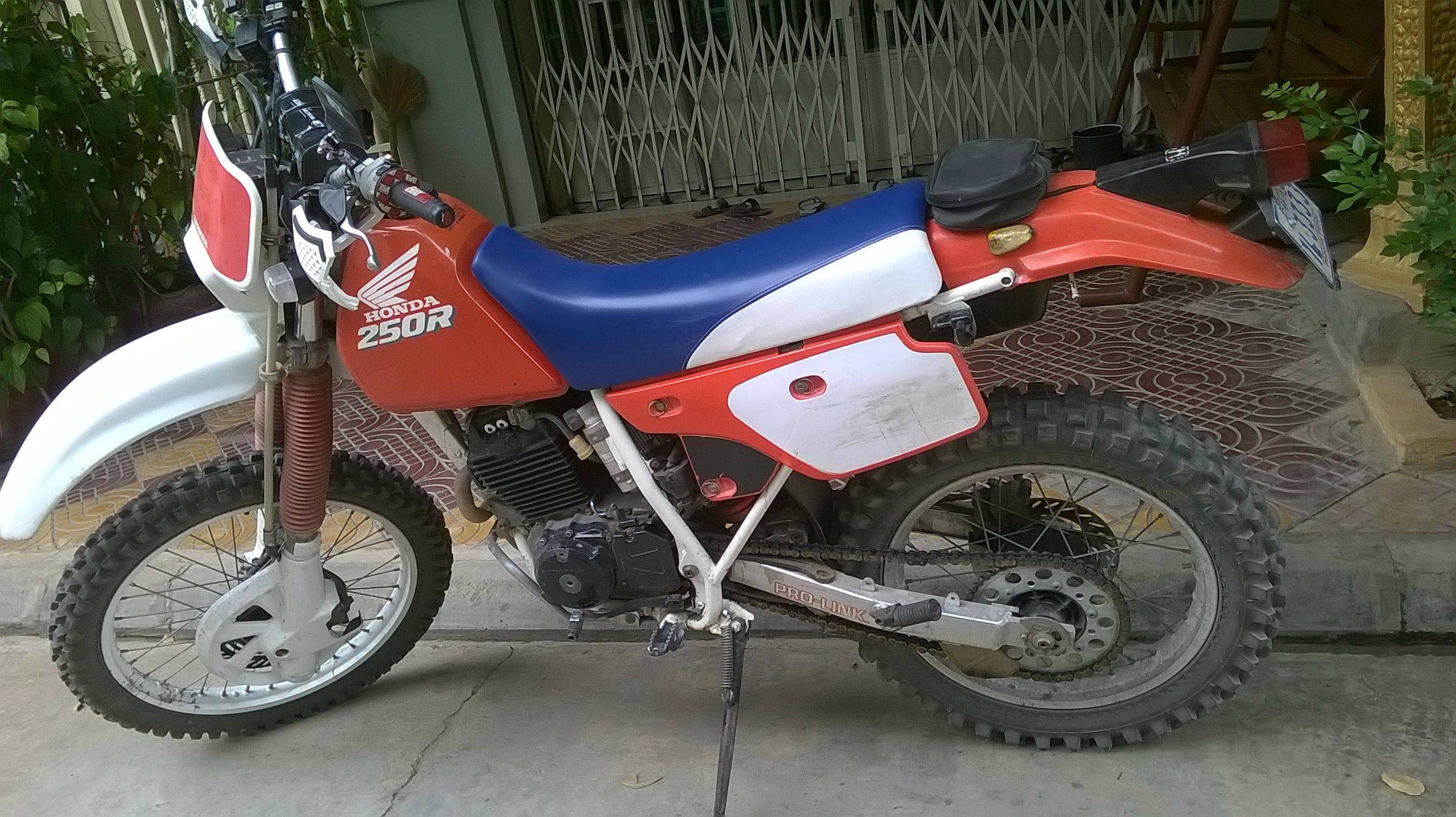 Xr 250
