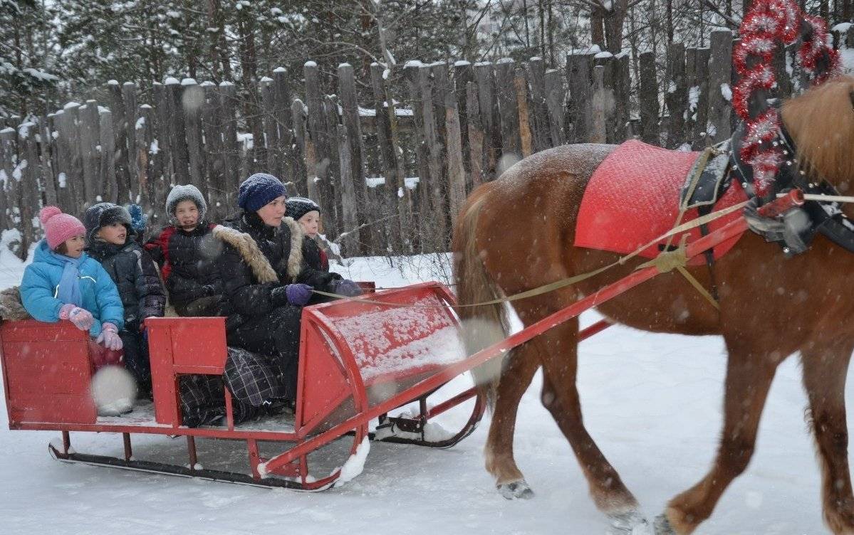 Создание саней для лошади по чертежам