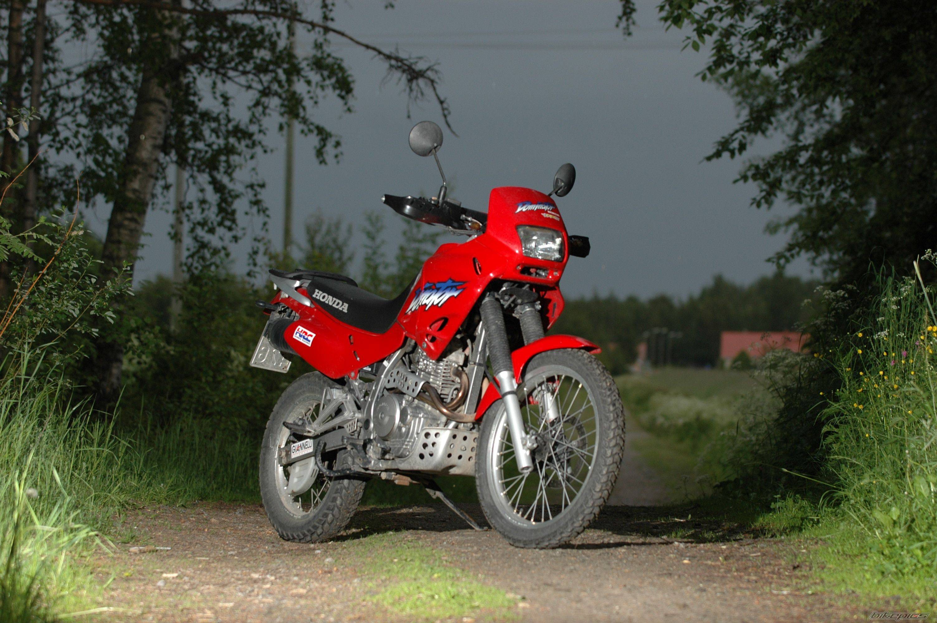 Honda nx650 Scrambler