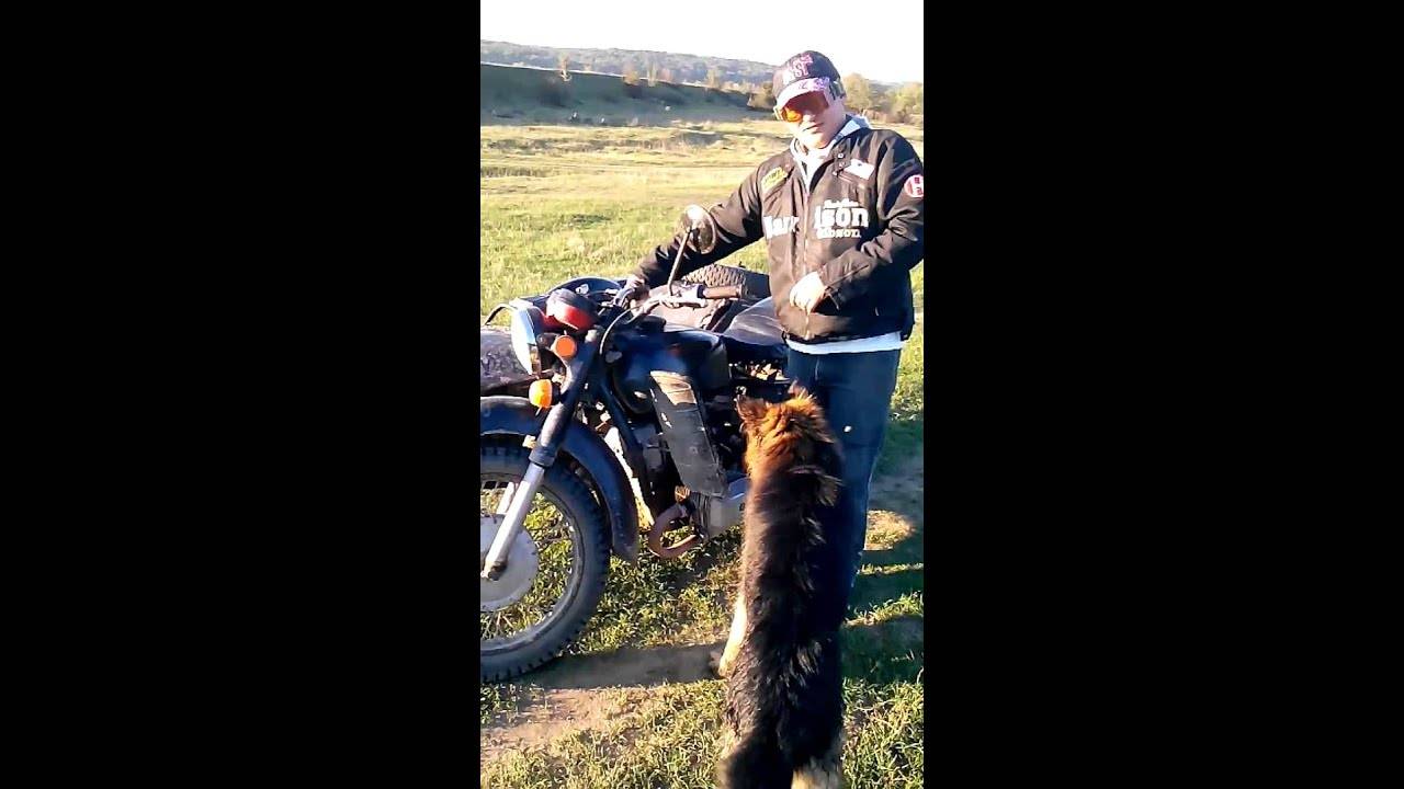 6 советов: как завести мотоцикл после зимы — автонастрой