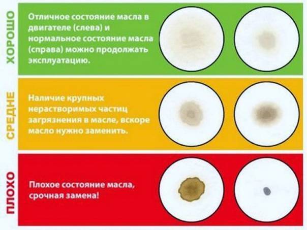 Как проверить качество моторного масла и отличить подделку от оригинала - зик, shell и другие марки
