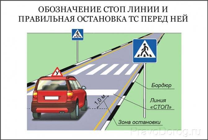 Стоп-линия в ПДД – различаем разметку и указатель!
