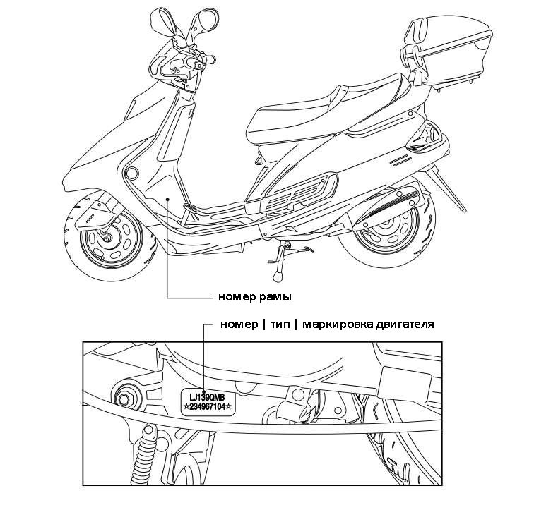 Где находятся номера на suzuki sepia