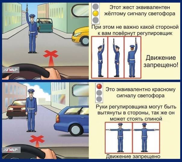 Правила дорожного движения регулировщик на перекрестке в картинках