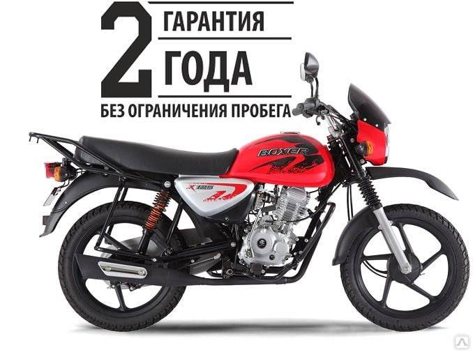 Boxer bm 125 x new
