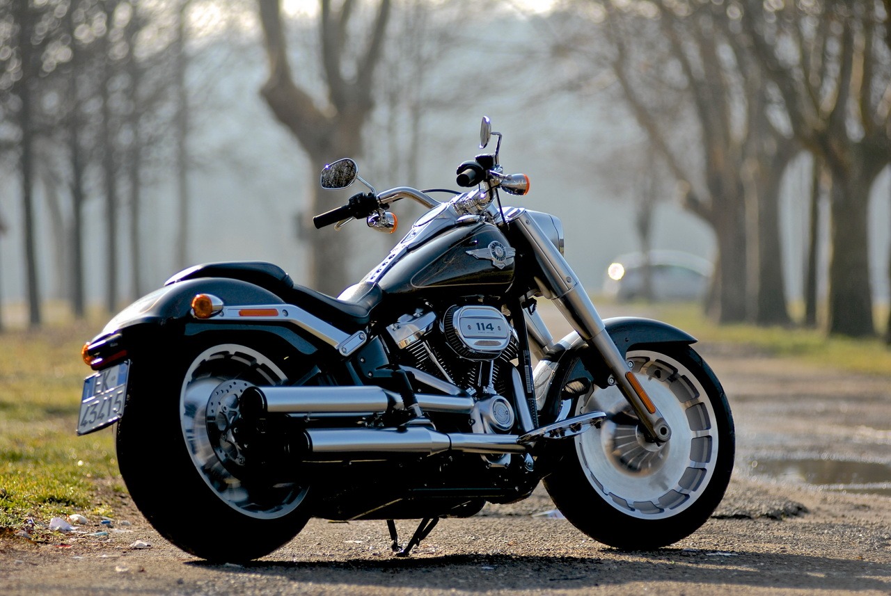 Harley-davidson fat boy special