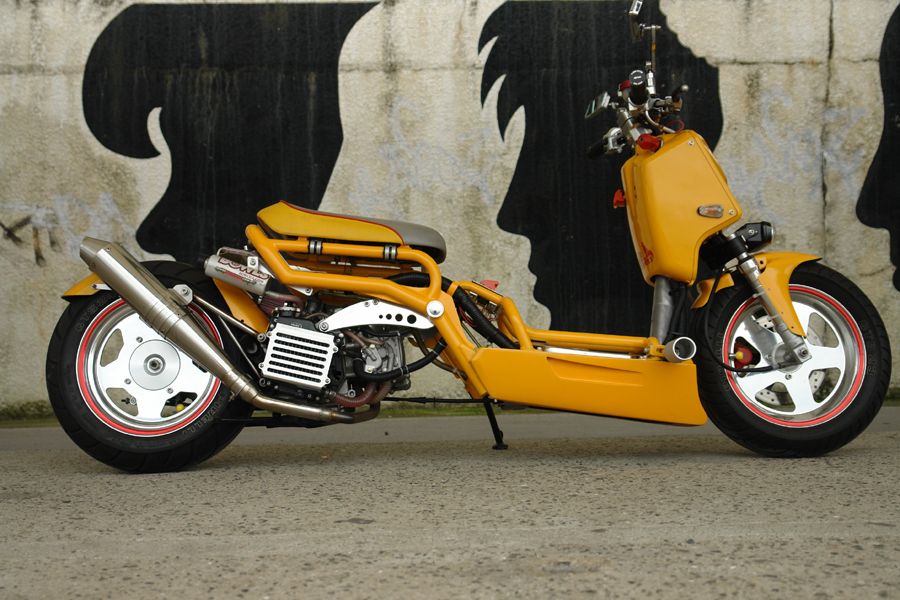 Мотоцикл ps250 big ruckus (2004): технические характеристики, фото, видео