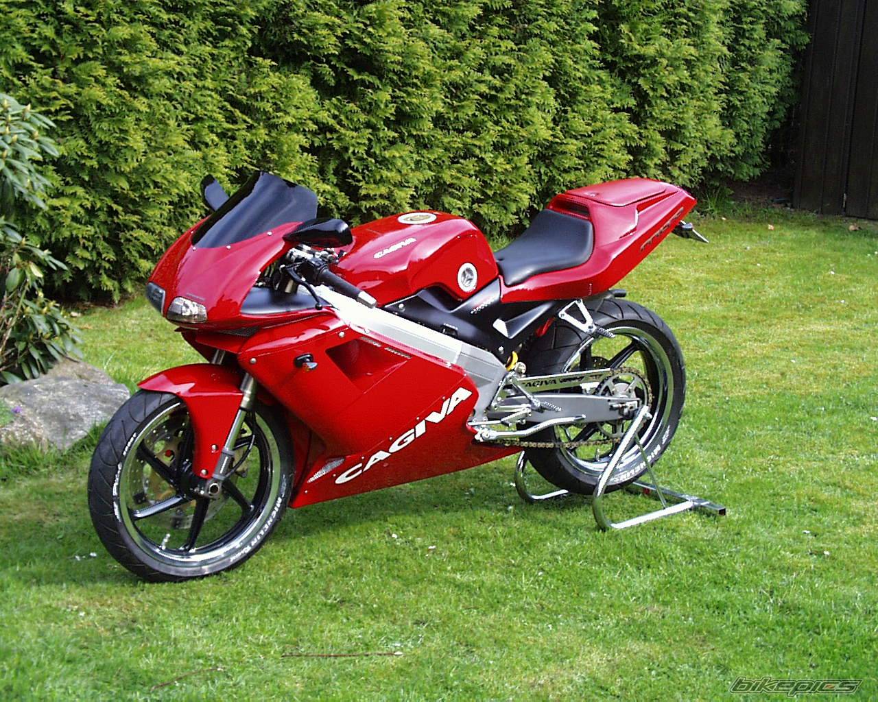 Мотоцикл raptor 1000 elefantino rosso (2003): технические характеристики, фото