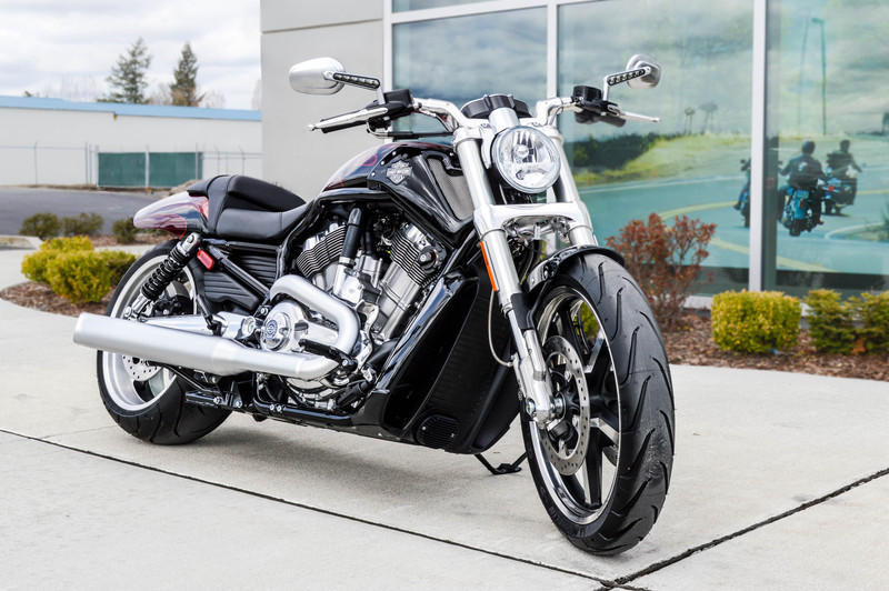 2017 harley-davidson v-rod muscle buyer's guide | specs & price